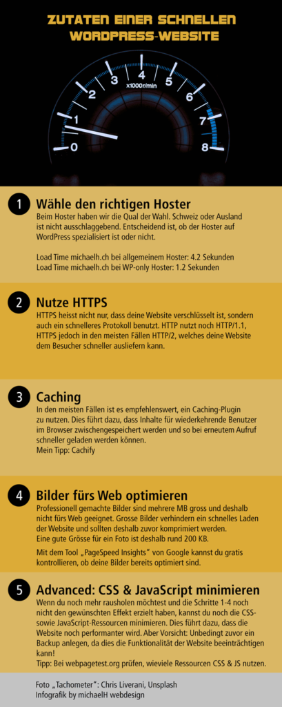 Schnelle WordPress-Website (Infografik)